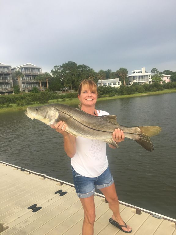 Recent catch by guest at dock. Come try your luck!